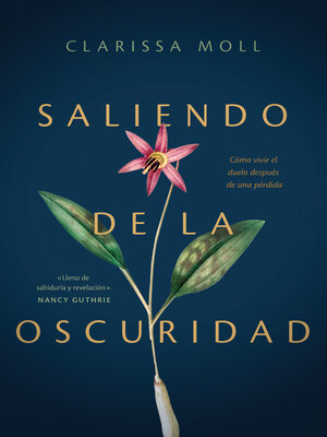 cover image of Saliendo de la oscuridad